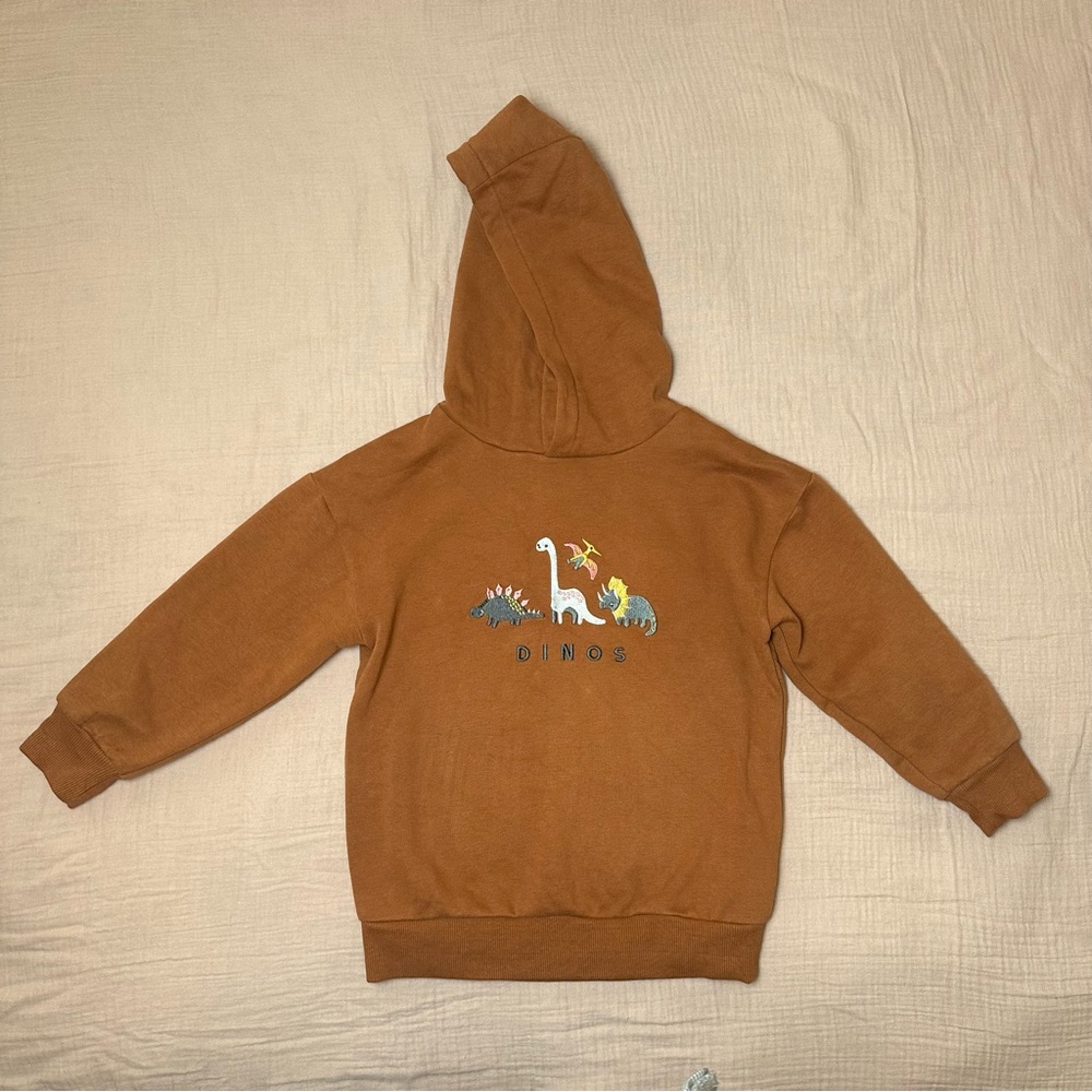 NEXT Kids' Dinosaur Embroidered Graphic Hoodie brown 3-4yrs